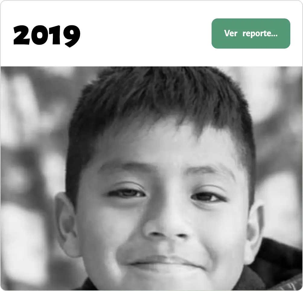 Reporte 2019