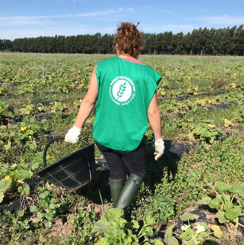 Segunda cosecha: ¡una actividad que evita el desperdicio y colabora con la  nutrición de muchos! - Banco de Alimentos Buenos Aires