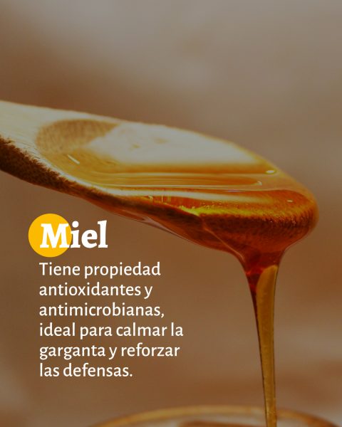 Alimentos_Sistemas_Inmune_5